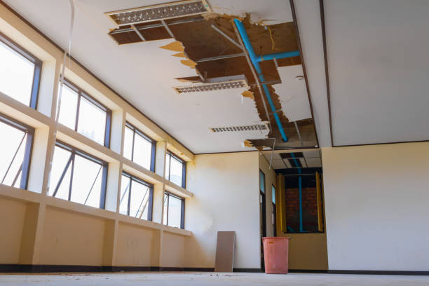 Best Flood restoration services  in Henderson, GA