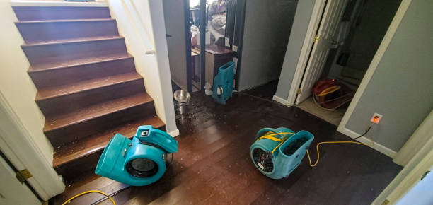Best Water damage restoration cost  in Henderson, GA