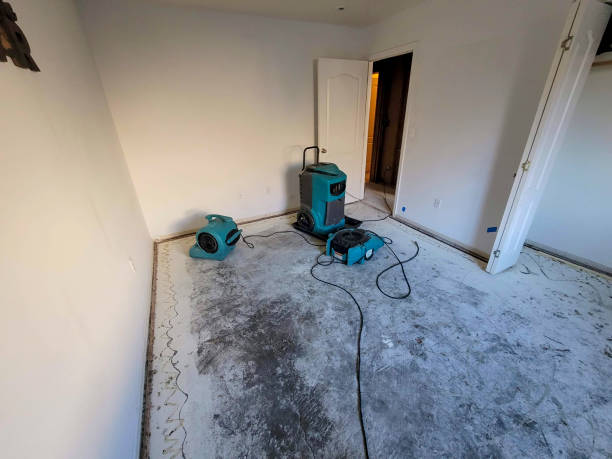 Best Sewage cleanup and water damage restoration  in Henderson, GA