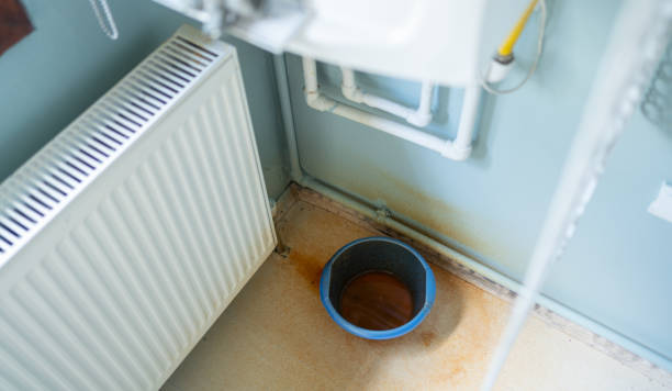 Best Carpet water damage restoration  in Henderson, GA
