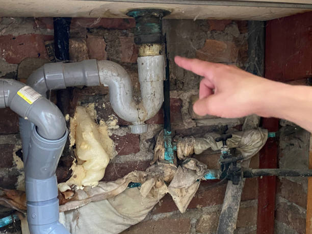 Best Water damage cleanup near me  in Henderson, GA